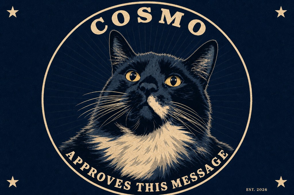 Cosmo the cat, unofficial Head of QA at SRA Group of Texas